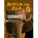  Άγρια ζώα - Ελέφαντες Τόμος 5 (DVD Περιπέτειες στην Ασία)